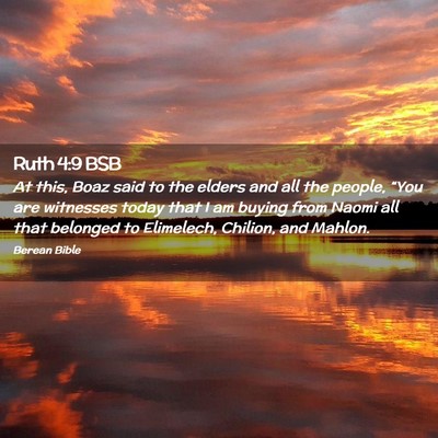 Picture 02 - Ruth 4:9 BSB - At this, Boaz said to the elders and all the - Bible Verse Picture