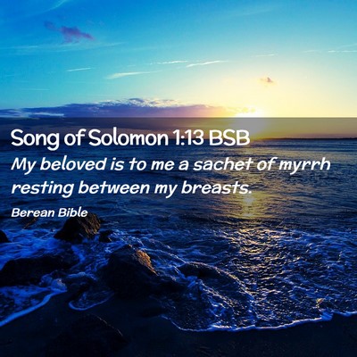 Picture 02 - Song of Solomon 1:13 BSB - My beloved is to me a sachet of myrrh resting - Bible Verse Picture