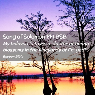 Picture 02 - Song of Solomon 1:14 BSB - My beloved is to me a cluster of henna blossoms - Bible Verse Picture