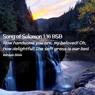 Picture 02 - Song of Solomon 1:16 BSB - How handsome you are, my beloved! Oh, how - Bible Verse Picture