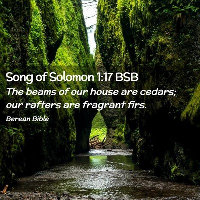 Picture 02 - Song of Solomon 1:17 BSB - The beams of our house are cedars; our rafters - Bible Verse Picture