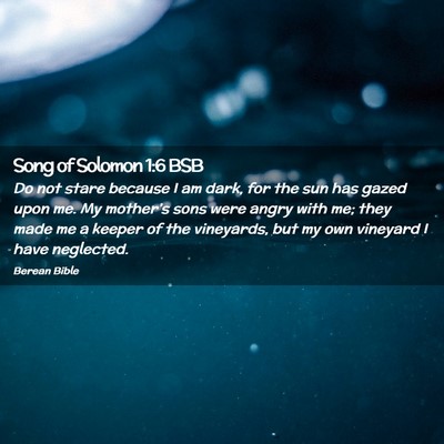 Picture 02 - Song of Solomon 1:6 BSB - Do not stare because I am dark, for the sun has - Bible Verse Picture