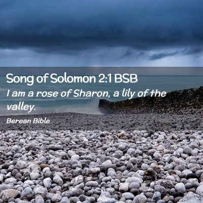 Picture 02 - Song of Solomon 2:1 BSB - I am a rose of Sharon, a lily of the - Bible Verse Picture