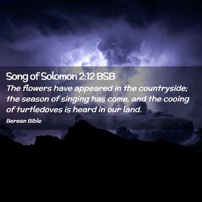 Picture 02 - Song of Solomon 2:12 BSB - The flowers have appeared in the countryside; the - Bible Verse Picture