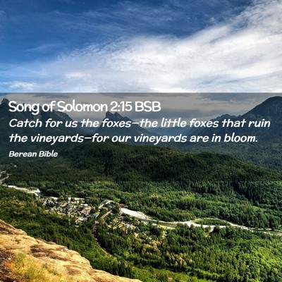 Picture 02 - Song of Solomon 2:15 BSB - Catch for us the foxes—the little foxes that - Bible Verse Picture