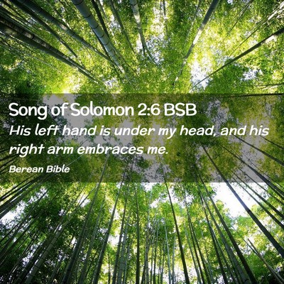 Picture 02 - Song of Solomon 2:6 BSB - His left hand is under my head, and his right arm - Bible Verse Picture