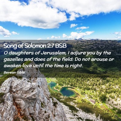 Picture 02 - Song of Solomon 2:7 BSB - O daughters of Jerusalem, I adjure you by the - Bible Verse Picture