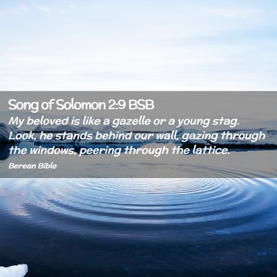 Picture 02 - Song of Solomon 2:9 BSB - My beloved is like a gazelle or a young stag. - Bible Verse Picture