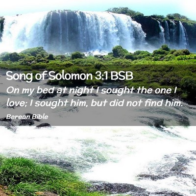 Picture 02 - Song of Solomon 3:1 BSB - On my bed at night I sought the one I love; I - Bible Verse Picture