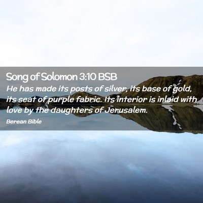 Picture 02 - Song of Solomon 3:10 BSB - He has made its posts of silver, its base of - Bible Verse Picture
