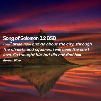 Picture 02 - Song of Solomon 3:2 BSB - I will arise now and go about the city, through - Bible Verse Picture