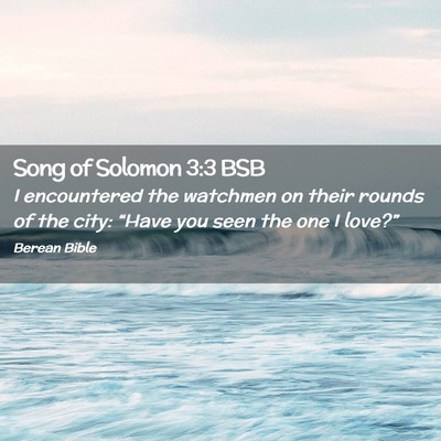 Picture 02 - Song of Solomon 3:3 BSB - I encountered the watchmen on their rounds of the - Bible Verse Picture