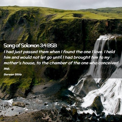 Picture 02 - Song of Solomon 3:4 BSB - I had just passed them when I found the one I - Bible Verse Picture