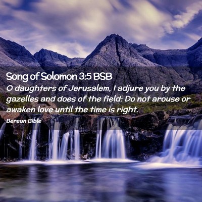 Picture 02 - Song of Solomon 3:5 BSB - O daughters of Jerusalem, I adjure you by the - Bible Verse Picture