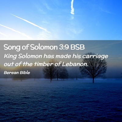 Picture 02 - Song of Solomon 3:9 BSB - King Solomon has made his carriage out of the - Bible Verse Picture