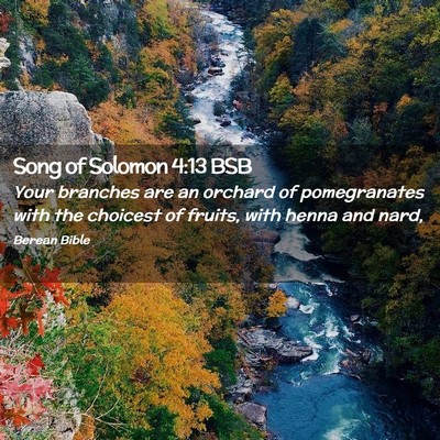 Picture 02 - Song of Solomon 4:13 BSB - Your branches are an orchard of pomegranates with - Bible Verse Picture