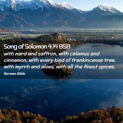 Picture 02 - Song of Solomon 4:14 BSB - with nard and saffron, with calamus and cinnamon, - Bible Verse Picture