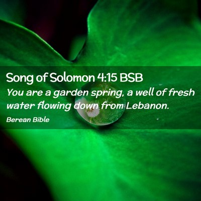 Picture 02 - Song of Solomon 4:15 BSB - You are a garden spring, a well of fresh water - Bible Verse Picture