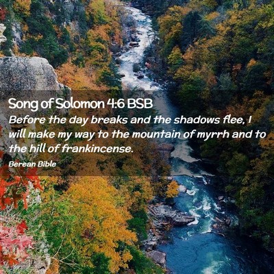 Picture 02 - Song of Solomon 4:6 BSB - Before the day breaks and the shadows flee, I - Bible Verse Picture