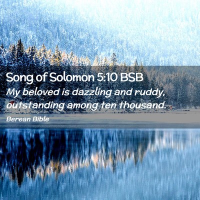 Picture 02 - Song of Solomon 5:10 BSB - My beloved is dazzling and ruddy, outstanding - Bible Verse Picture
