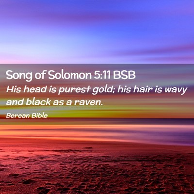 Picture 02 - Song of Solomon 5:11 BSB - His head is purest gold; his hair is wavy and - Bible Verse Picture