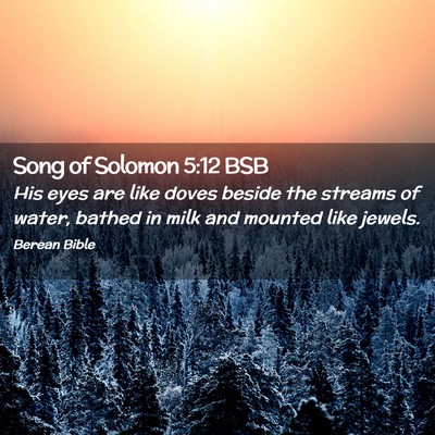 Picture 02 - Song of Solomon 5:12 BSB - His eyes are like doves beside the streams of - Bible Verse Picture