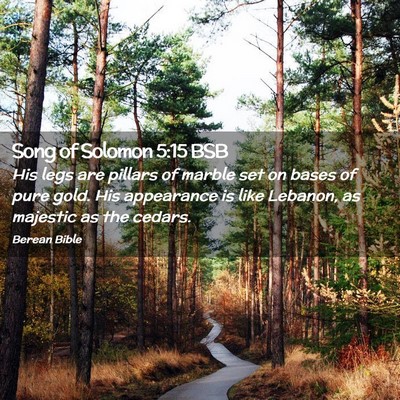 Picture 02 - Song of Solomon 5:15 BSB - His legs are pillars of marble set on bases of - Bible Verse Picture