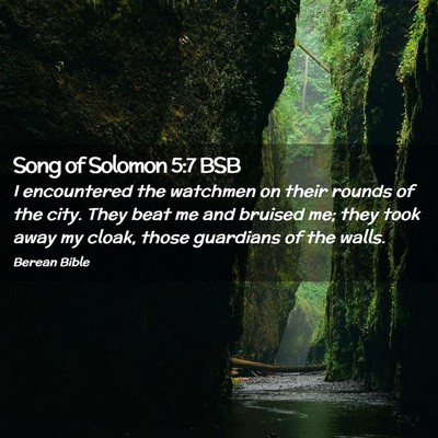 Picture 02 - Song of Solomon 5:7 BSB - I encountered the watchmen on their rounds of the - Bible Verse Picture