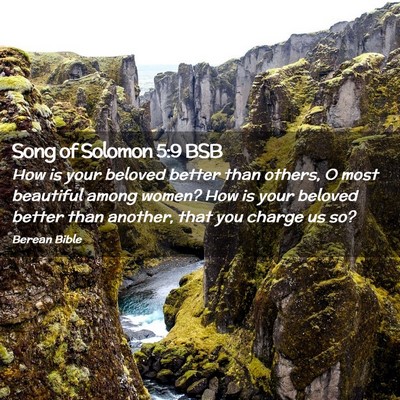 Picture 02 - Song of Solomon 5:9 BSB - How is your beloved better than others, O most - Bible Verse Picture