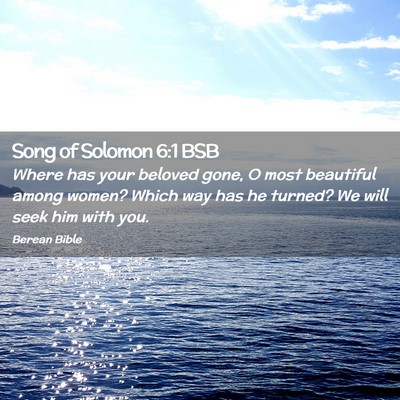 Picture 02 - Song of Solomon 6:1 BSB - Where has your beloved gone, O most beautiful - Bible Verse Picture