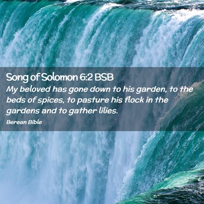 Picture 02 - Song of Solomon 6:2 BSB - My beloved has gone down to his garden, to the - Bible Verse Picture