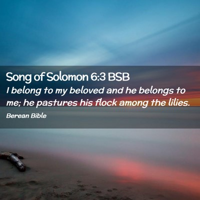 Picture 02 - Song of Solomon 6:3 BSB - I belong to my beloved and he belongs to me; he - Bible Verse Picture