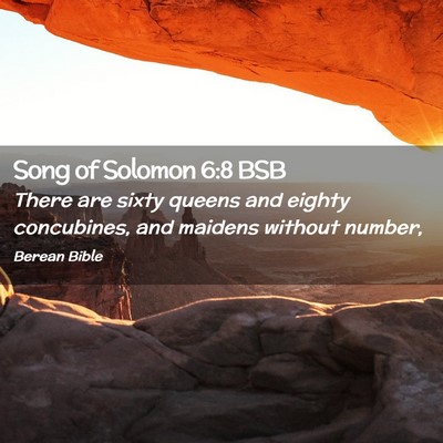 Picture 02 - Song of Solomon 6:8 BSB - There are sixty queens and eighty concubines, and - Bible Verse Picture