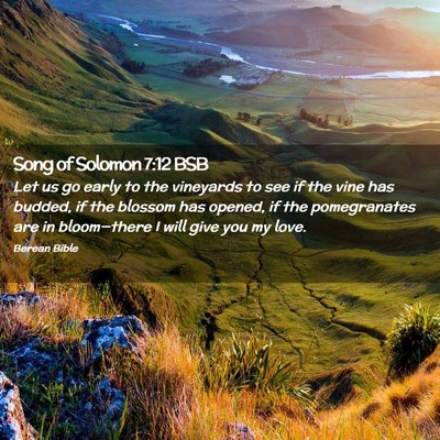 Picture 02 - Song of Solomon 7:12 BSB - Let us go early to the vineyards to see if the - Bible Verse Picture