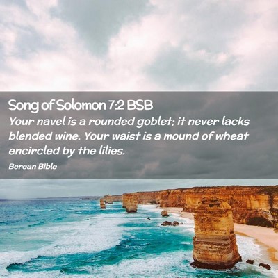 Picture 02 - Song of Solomon 7:2 BSB - Your navel is a rounded goblet; it never lacks - Bible Verse Picture
