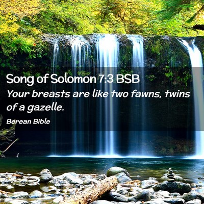 Picture 02 - Song of Solomon 7:3 BSB - Your breasts are like two fawns, twins of a - Bible Verse Picture