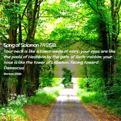 Picture 02 - Song of Solomon 7:4 BSB - Your neck is like a tower made of ivory; your - Bible Verse Picture