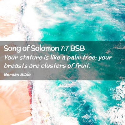 Picture 02 - Song of Solomon 7:7 BSB - Your stature is like a palm tree; your breasts - Bible Verse Picture