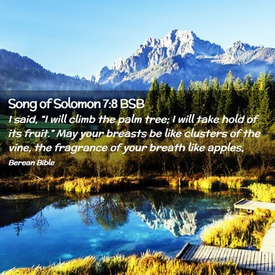 Picture 02 - Song of Solomon 7:8 BSB - I said, “I will climb the palm tree; I will - Bible Verse Picture