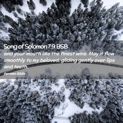 Picture 02 - Song of Solomon 7:9 BSB - and your mouth like the finest wine. May it flow - Bible Verse Picture