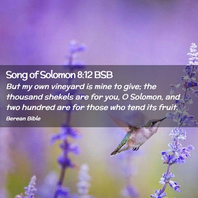 Picture 02 - Song of Solomon 8:12 BSB - But my own vineyard is mine to give; the thousand - Bible Verse Picture