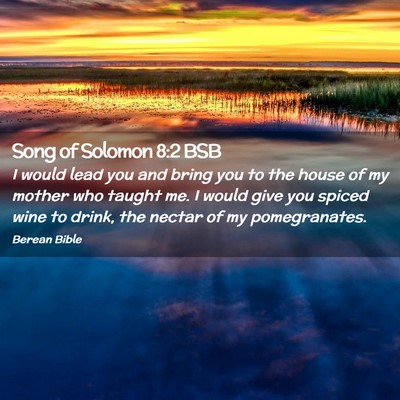 Picture 02 - Song of Solomon 8:2 BSB - I would lead you and bring you to the house of my - Bible Verse Picture