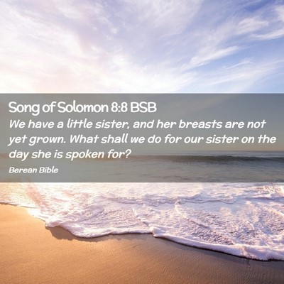 Picture 02 - Song of Solomon 8:8 BSB - We have a little sister, and her breasts are not - Bible Verse Picture