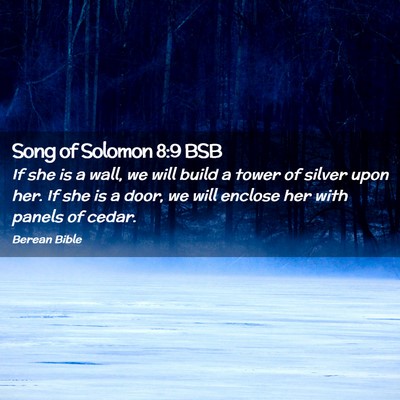 Picture 02 - Song of Solomon 8:9 BSB - If she is a wall, we will build a tower of silver - Bible Verse Picture