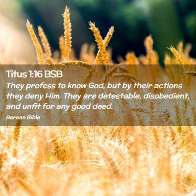 Picture 02 - Titus 1:16 BSB - They profess to know God, but by their actions - Bible Verse Picture