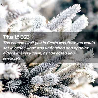 Picture 02 - Titus 1:5 BSB - The reason I left you in Crete was that you would - Bible Verse Picture
