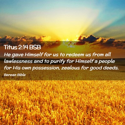 Picture 02 - Titus 2:14 BSB - He gave Himself for us to redeem us from all - Bible Verse Picture