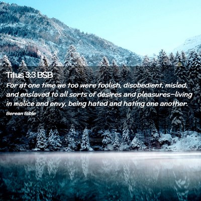 Picture 02 - Titus 3:3 BSB - For at one time we too were foolish, disobedient, - Bible Verse Picture