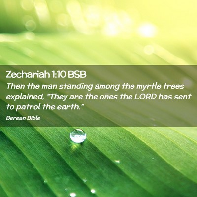 Picture 02 - Zechariah 1:10 BSB - Then the man standing among the myrtle trees - Bible Verse Picture