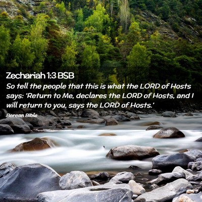 Picture 02 - Zechariah 1:3 BSB - So tell the people that this is what the LORD of - Bible Verse Picture